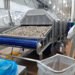 Cinta transportadora de alimentación para línea de producción