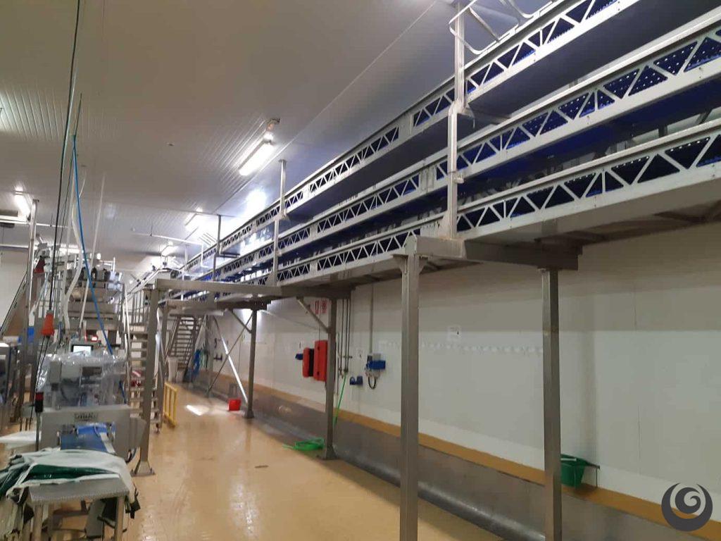 Cinta transportadora industrial triple de 40 metros fabricada a medida